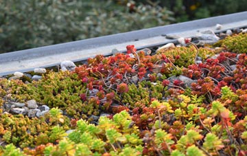 the cost of Tufnell Park green roof installation