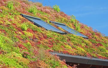 Tufnell Park living roof systems