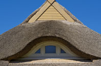 Tufnell Park thatch roofing